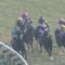 【競馬】AJCCが完全に呪いのレースと化してる件