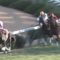 【競馬/日経新春杯】武豊痛恨の騎乗ミス。１０００ｍ通過５８．２のハイペースで謎の早仕掛け