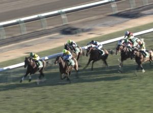 【競馬/京成杯】シークレットラン内田ｗｗｗｗｗｗｗ