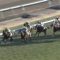 【競馬/弥生賞】ラストドラフト本番はミルコじゃね？
