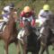 【競馬】武豊「若手騎手には『おやおや？』と感じることもある」 アンカツ「今は調教師もうるさくない」