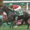 【競馬】日本競馬に外国人騎手は必要か不要か