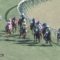 【競馬】アイワナビリーヴ強すぎわらたwwwww