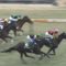 【競馬/桜花賞】クロノジェネシスが正解