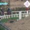 【競馬】アーモンドアイさん、天栄放牧中に終い12秒3の追い切りをする