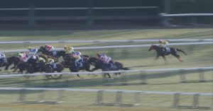 【競馬/フェブラリーS】13着ノンコノユメ内田博幸「気持ちよく走りすぎた。前半集中しちゃって、後半集中できなかった」