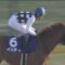 【競馬・フェブラリーS】枠順確定！インティ武豊3枠5番、根岸S快勝のモズアスコット6枠12番