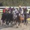【競馬/かしわ記念】2着インティ武豊騎手「ハナ切るつもりなかった。理想的に運べたが馬が疲れた」