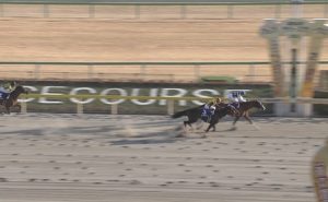 【競馬/かしわ記念】インティ- ゴルドリ馬連１．５倍　＋　楽天ポイント１０％←こんなにおいしい話今までにあったか？