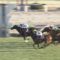 【競馬・宝塚記念】グローリーヴェイズ18.6倍ワロタｗｗｗｗｗｗｗｗｗｗｗｗｗｗｗｗｗｗｗｗｗｗｗｗｗ