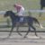 【競馬/フェブラリーS】オメガパフューム買った馬鹿wwwwww