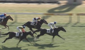 【競馬/すみれS】キスラー弱すぎワロタwww 【武豊ｘキーファーズ】