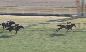 【競馬】東京9Rゆりかもめ賞 サトノジェネシス強すぎワロタww