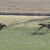 【競馬】サトノジェネシス、芝2400の想定タイムを3秒近く短縮してしまう【ダービー候補】