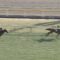 【競馬】ついにディープからサトノジェネシスという牡馬の超大物候補が出現！！！！！