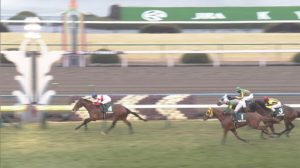 【競馬/きさらぎ賞】ヴァンドギャルドが負けた理由がわからない