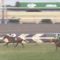 【競馬/きさらぎ賞】ヴァンドギャルドが負けた理由がわからない