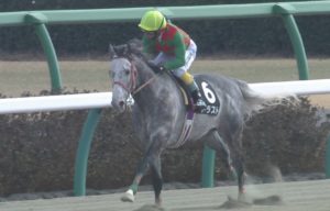 【競馬/春麗ジャンプS】障害界に新怪物誕生トラスト強すぎﾜﾛﾀｗｗｗｗｗｗｗｗ
