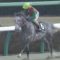 【競馬/春麗ジャンプS】障害界に新怪物誕生トラスト強すぎﾜﾛﾀｗｗｗｗｗｗｗｗ