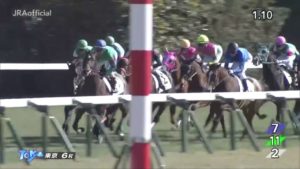 【競馬】アイワナビリーヴって超大物だろ？何でおまえら無視してんの？
