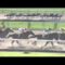【競馬】近年最高の一騎打ちってこのレースしかないよな