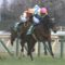 【競馬・天皇賞春】岩田負傷でユーキャンスマイル、鞍上募集中