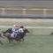 【競馬】デムーロさんがひっそりと油断騎乗で制裁を食らってる件