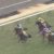【競馬/きさらぎ賞】アガラス戸崎圭太ｗｗｗｗｗｗｗｗｗｗｗｗｗｗｗｗ
