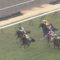 【競馬/きさらぎ賞】アガラス戸崎圭太ｗｗｗｗｗｗｗｗｗｗｗｗｗｗｗｗ
