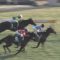【競馬】ピッチ走法で思い浮かべる馬、競馬板の9割が一致