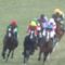 【競馬/共同通信杯】デムーロは何故逃げたのか？？