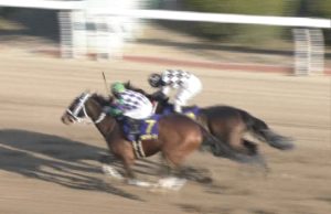 【競馬】佐賀記念でいっくんリターンｗｗｗｗｗｗｗｗ