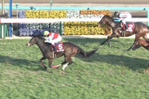 【競馬/中山記念】ディアドラ弱すぎワロタｗｗｗｗｗｗｗｗｗｗｗｗｗｗｗ