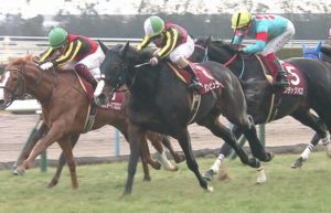 【競馬】ダンビュライト、去勢へ
