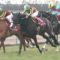 【競馬】ダンビュライト、去勢へ