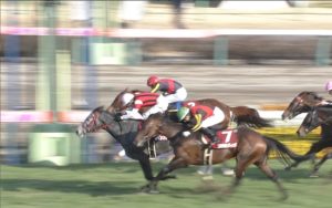 【競馬】ドバイ中止・・ウインブライトは香港G1も回避し、宝塚記念を視野に