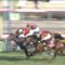 【競馬/中山記念】ちょっと待て、スワーヴリチャードヤバくね？？