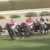【競馬】阪急杯　阪神1400、18頭フルゲート　→　絶対荒れるやつやん！