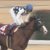 【競馬・チャンピオンズC】インティ野中調教師「ダメージもなく順調、この子のリズムで行くだけ」