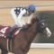 【競馬】フェブラリーS１４着大敗のインティ、春全休決定
