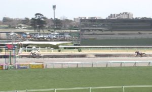 【競馬】障害３連勝トラスト放牧　４・13中山ＧＪは見送り