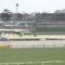 【競馬】障害３連勝トラスト放牧　４・13中山ＧＪは見送り