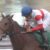 【競馬】川田　将雅←ゆうが
