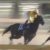 【競馬】コパノキッキングは今年の東京スプリントを圧勝できるか？