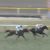 【競馬/皐月賞】水上学氏◎ダノンキングリー【サートゥル陣営に朗報】