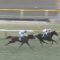 【競馬】ついに日高にノーザンファームに対抗に出来る牧場現る！「三嶋牧場」