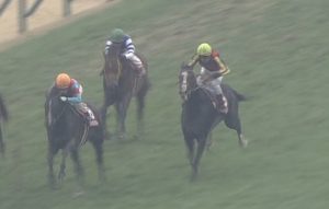 【競馬】悲報・・弥生賞2着のシュヴァルツリーゼ引退