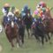 【競馬/阪神大賞典】ロードヴァンドール横山典弘wwwwwwwwwwwwwwwww