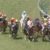 【競馬】高松宮記念直線のウインズでの俺「あ、ダノンスマッシュ圧勝だわ」ﾎﾞｿｯ