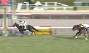 【競馬】競馬歴40年の俺がコントラチェックは化け物だと断言する